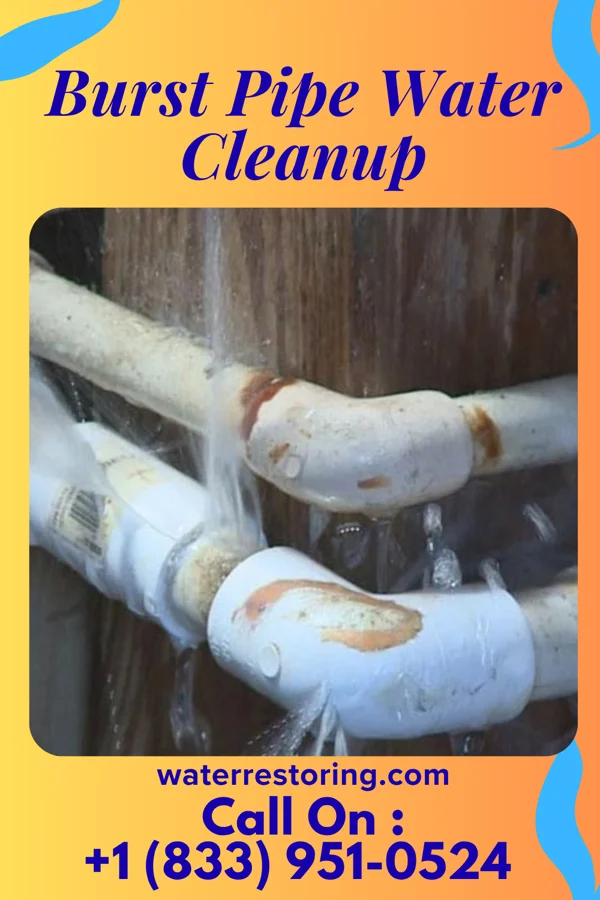 Burst Pipe Water Cleanup in Mount Union, PA