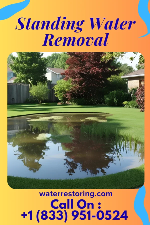 Standing Water Removal in Mount Union, PA